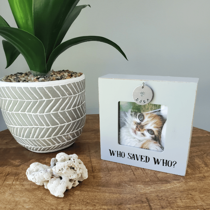 Rescued Pet Photo Frame - Pet Milestones