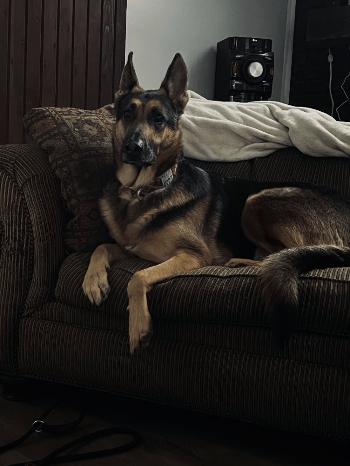 King Boy!