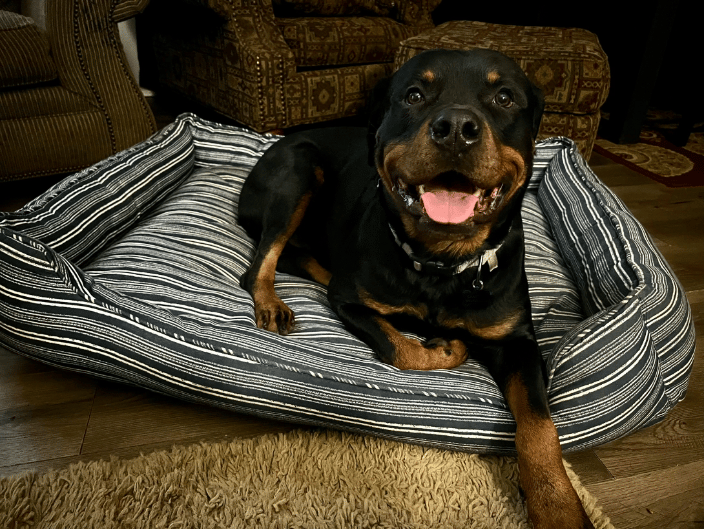 Handsome Boyyy!