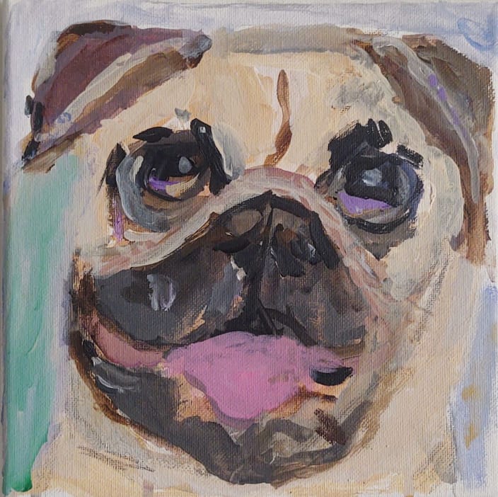 Square Pet Portrait by Andrea Goldsmith