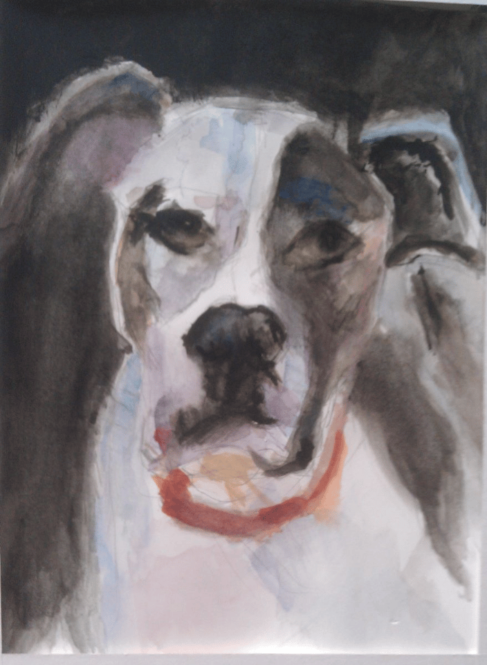 Pet Portrait 12x9" watercolor by Andrea Goldsmith