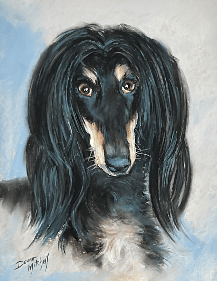 This is JACK, a Saluki. Commissioned from Chambersburg, PA
