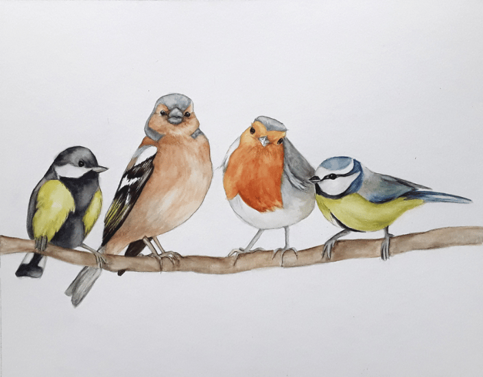 Birds on a branch