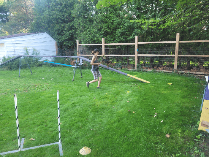 Agility Practice at Furever Pet Care