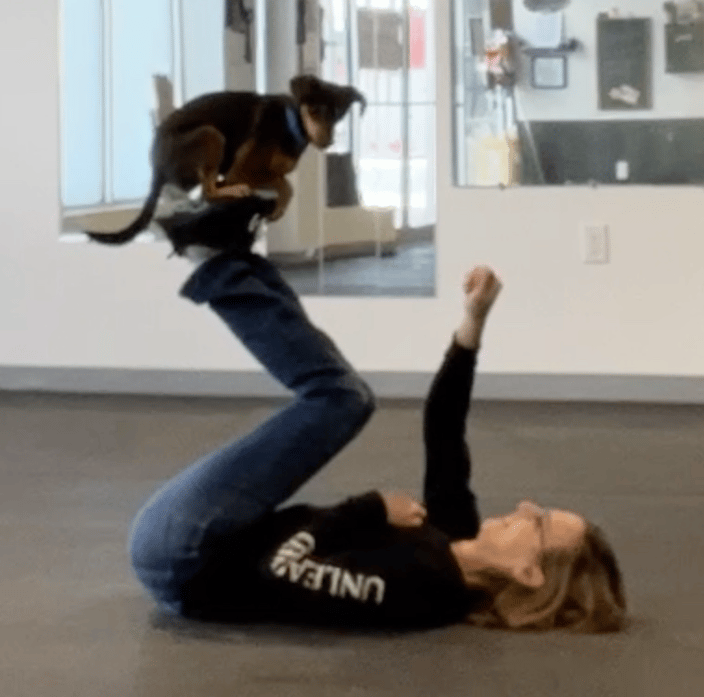 Foot Stall Dog Trick