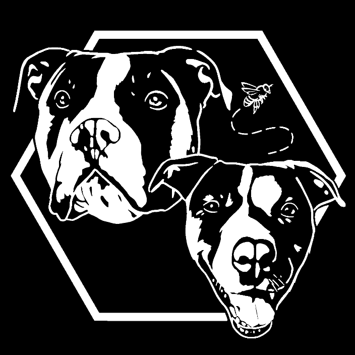 beezys pack logo 
