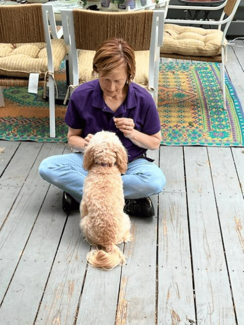 Teaching obedience
