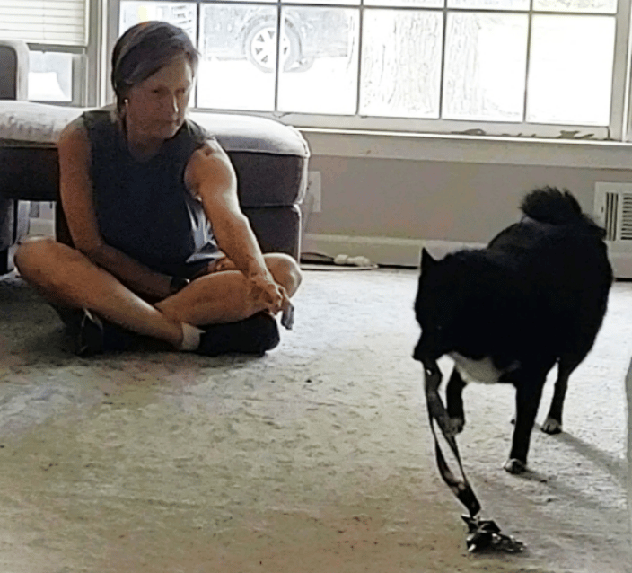 Training to retrieve
