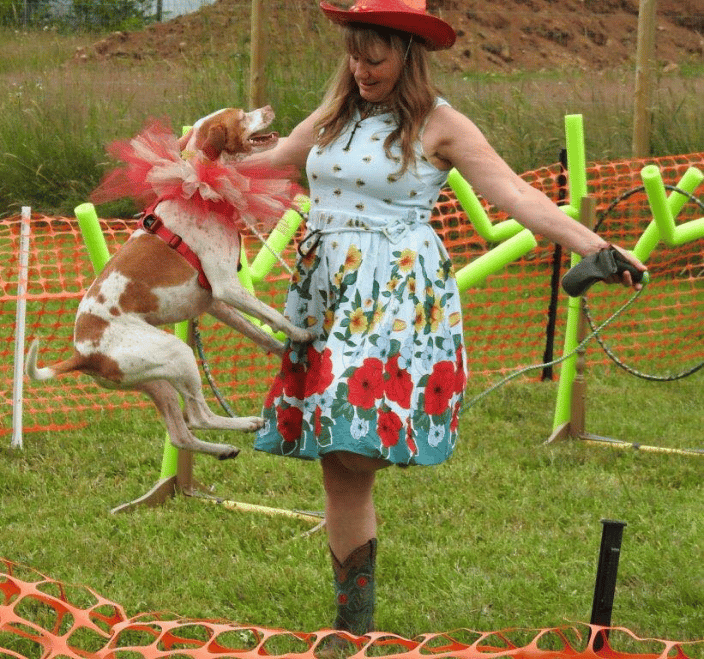 Go Dog Go! Trick Dogs