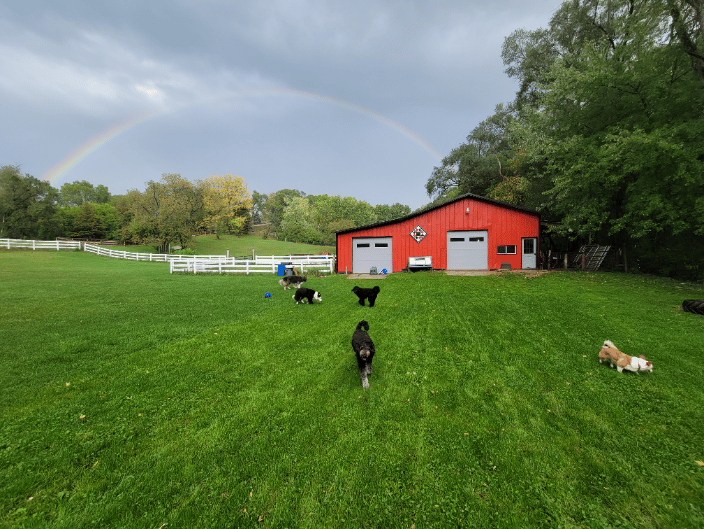 Freedom Farm