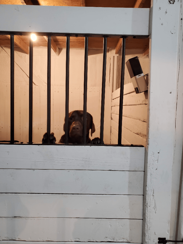 Watchful boy