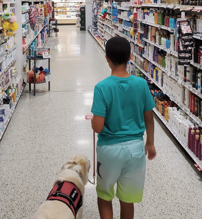Service dog in store