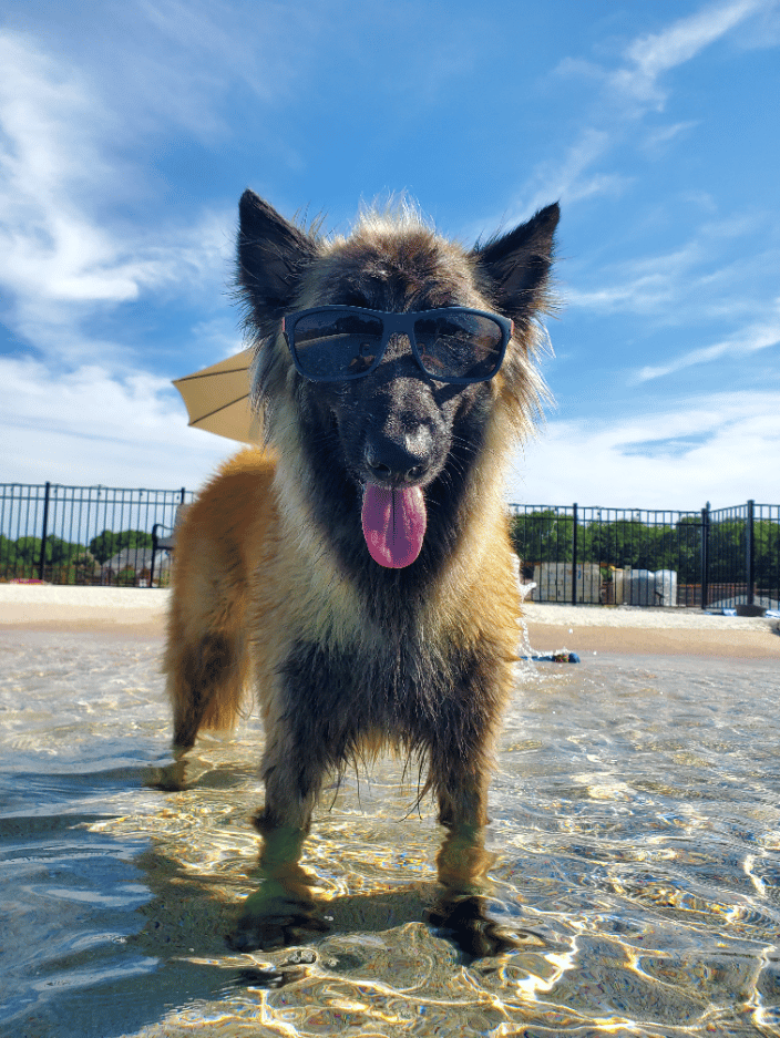 learn to swim