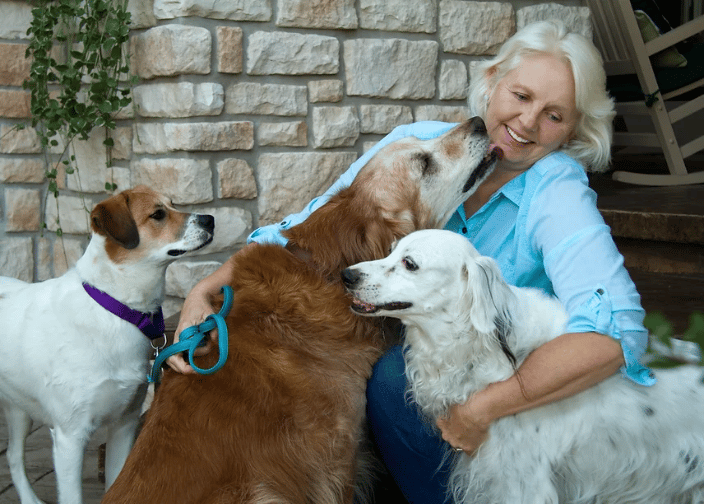 Kim with Casey, Rocky and Jasper