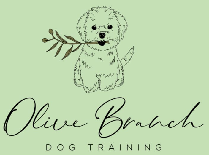 Olive Branch Dog Training Logo