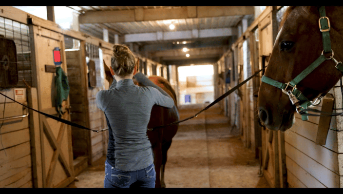 Lesson Student Grooming Horse in Crossties