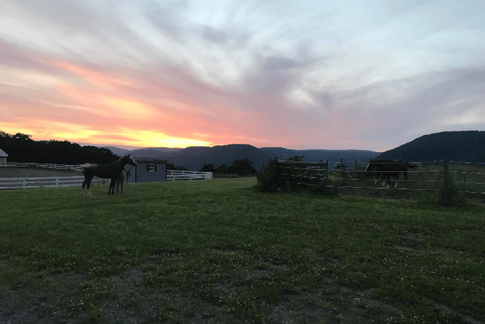 Gorgeous Views