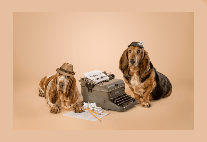 News Hounds