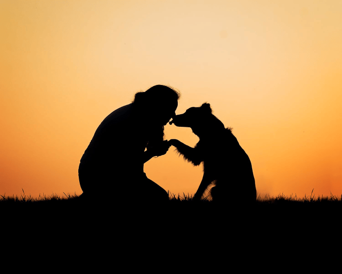 barking dog images