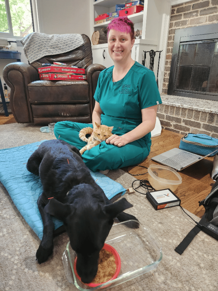 Margo doesn't mind her needles or PEMF (pulsed electromagnetic therapy) as long as treats are involved! Grizzy also enjoys some loving during Margo's session.