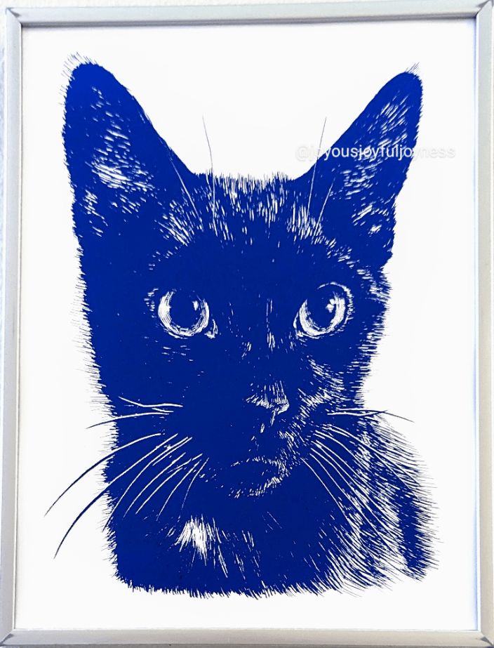 Monkey the Black Cat