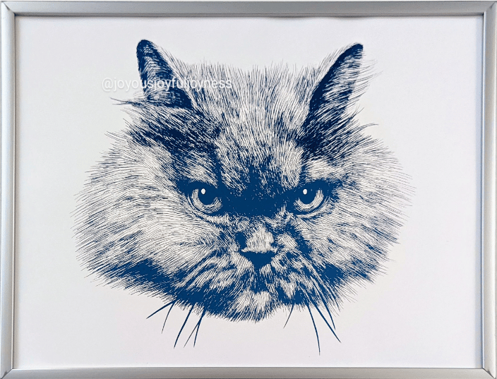 Bibi the Persian Cat