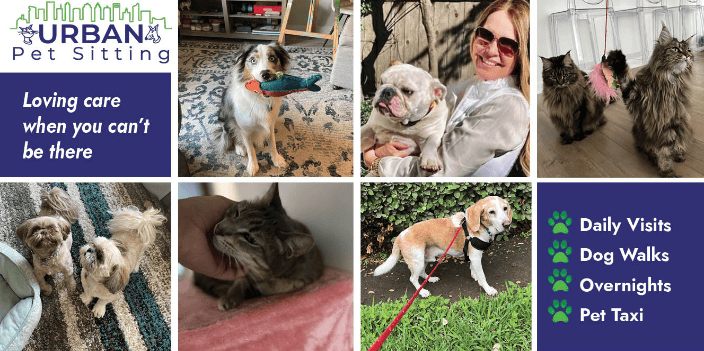 Urban Pet Sitting provides services 365 days a year, including all holidays