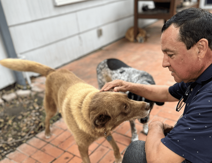 Richard brings peace and calm to all his furry friends