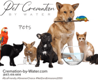 Pet approved by all pets