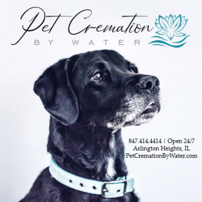 Animal cremation society of chicagoland top
