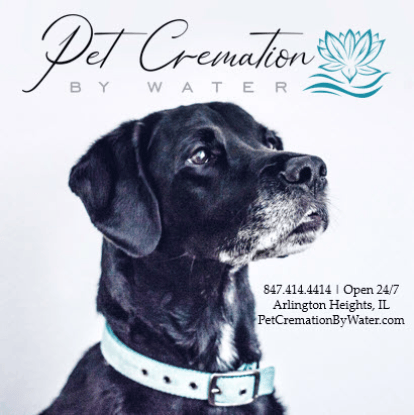 Cremation for dogs
