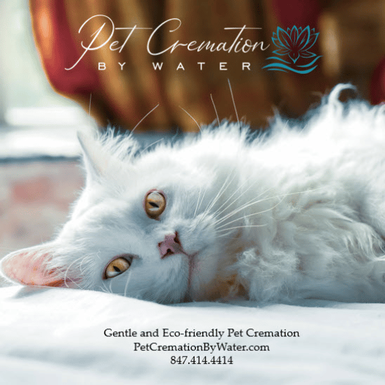 Cat for cremation