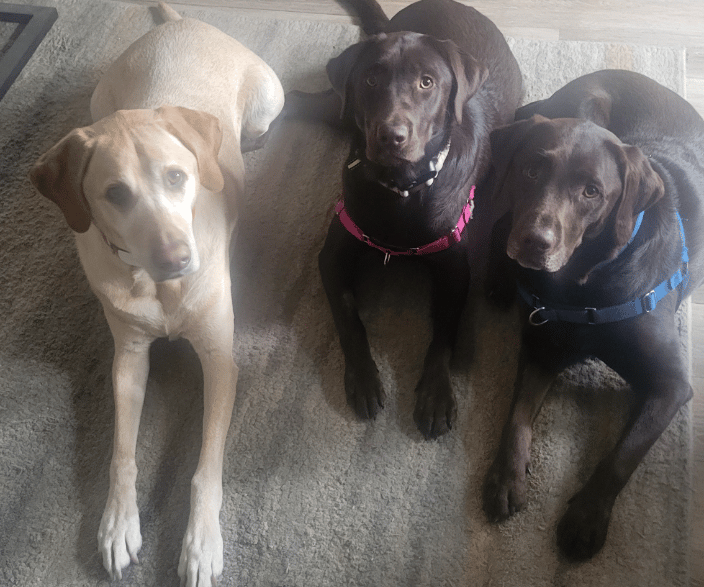 My three