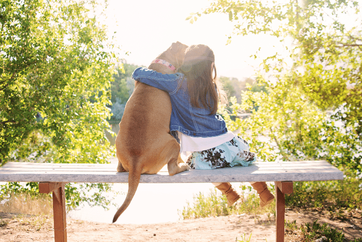 Little Girl Hugging Pitbull on a Bench in the Sun