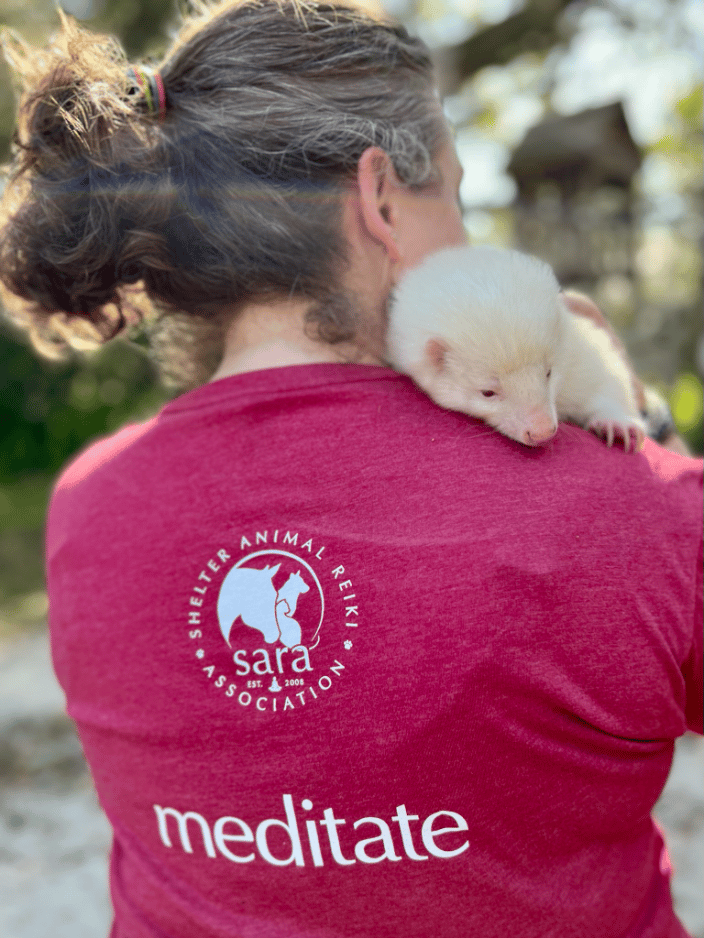 Animal Reiki Immersion at the C.A.R.E.Foundation