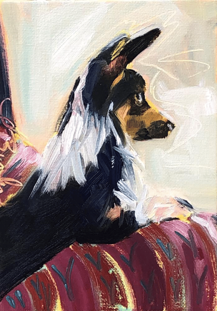 Dog Portrait