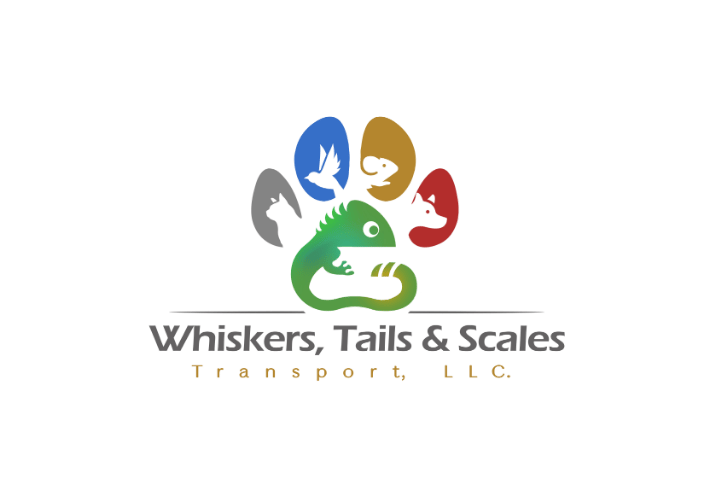 My Business Logo