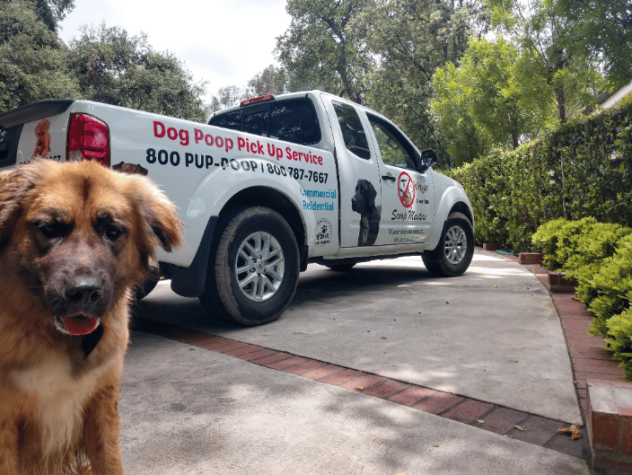 Dog poop pick up service top