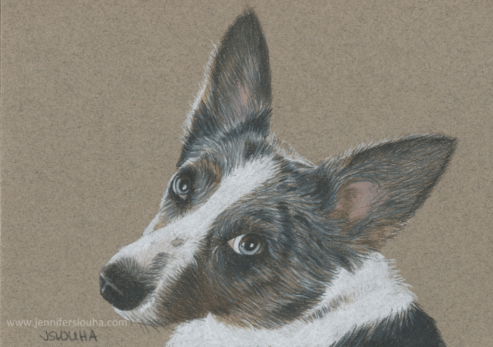 commissioned 5x7 inch colored pencil pet sketch