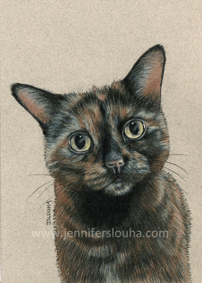 commissioned 5x7 inch colored pencil pet sketch