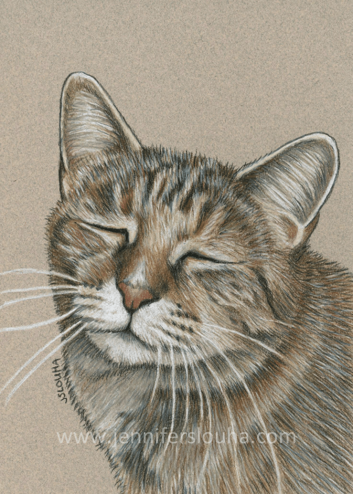 commissioned 5x7 inch colored pencil pet sketch
