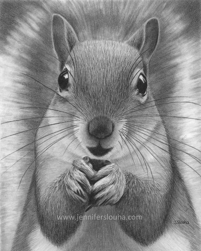 8x10 inch graphite pencil squirrel portrait
