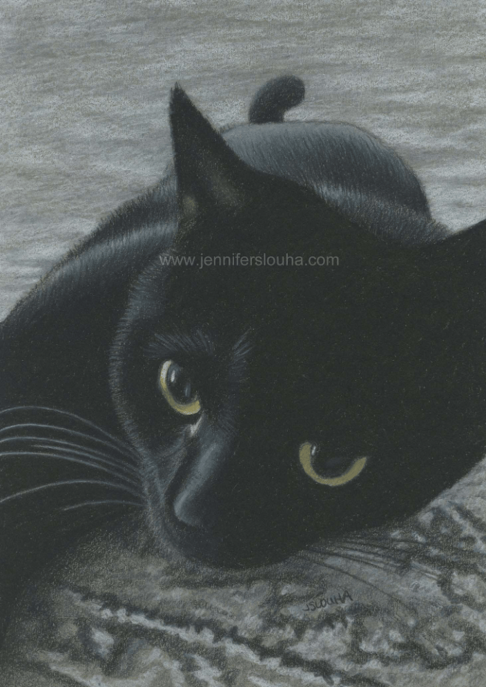 5x7 inch colored pencil pet sketch