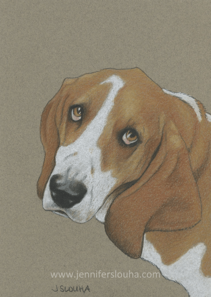 commissioned 5x7 inch colored pencil pet sketch