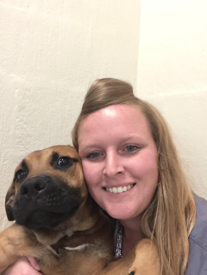 Rocky at the shelter