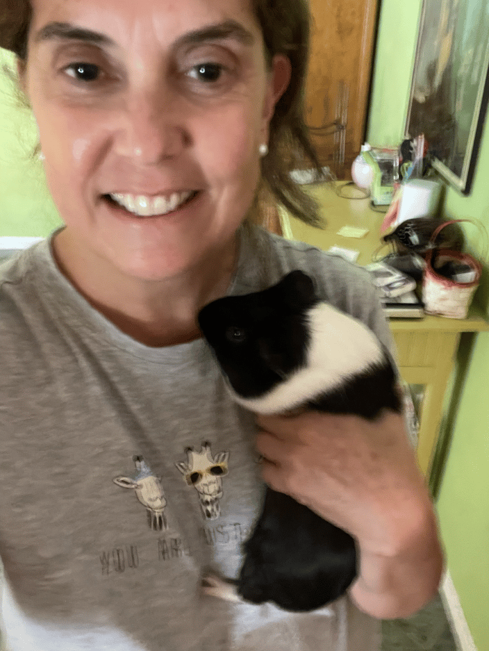 Pet sitting a guinea pig
