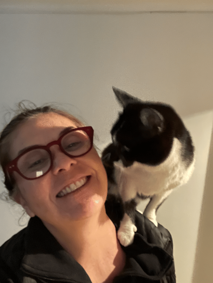 Cat sitting
