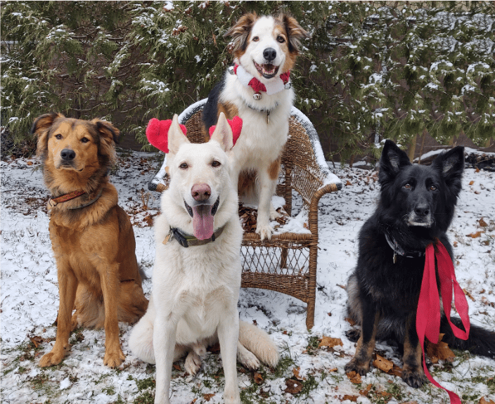 Group sit stays for a photo