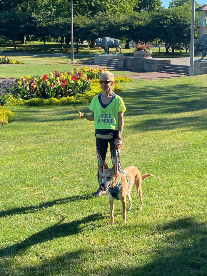 Dog-Walking Client