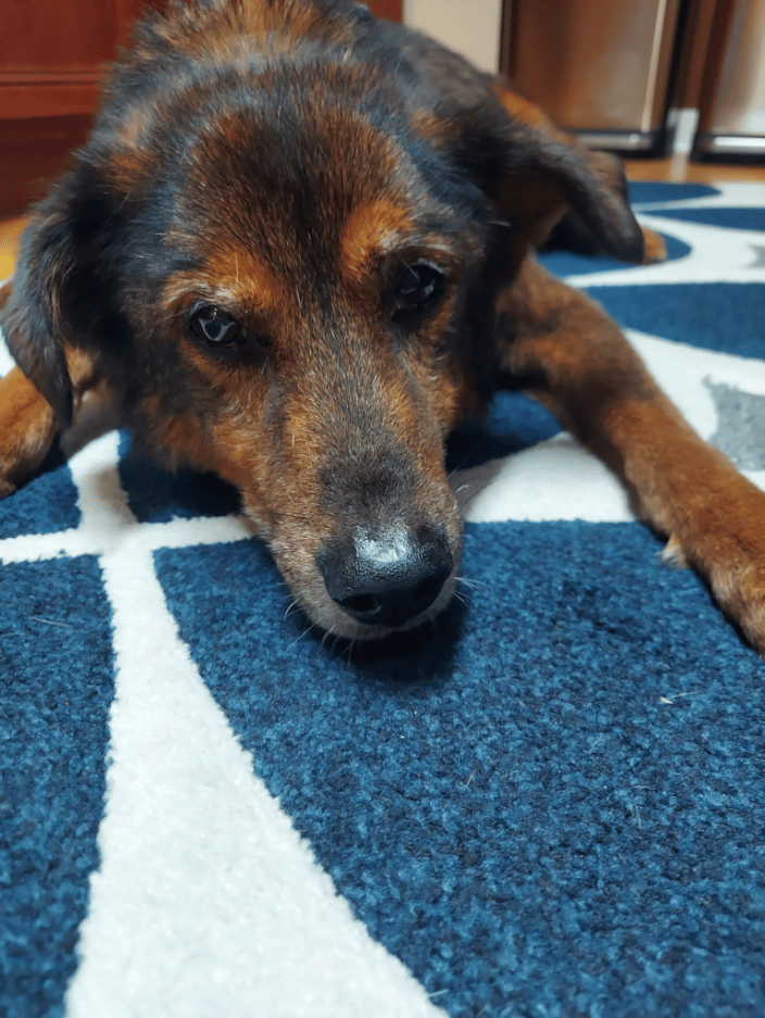 Senior geriatric Paris